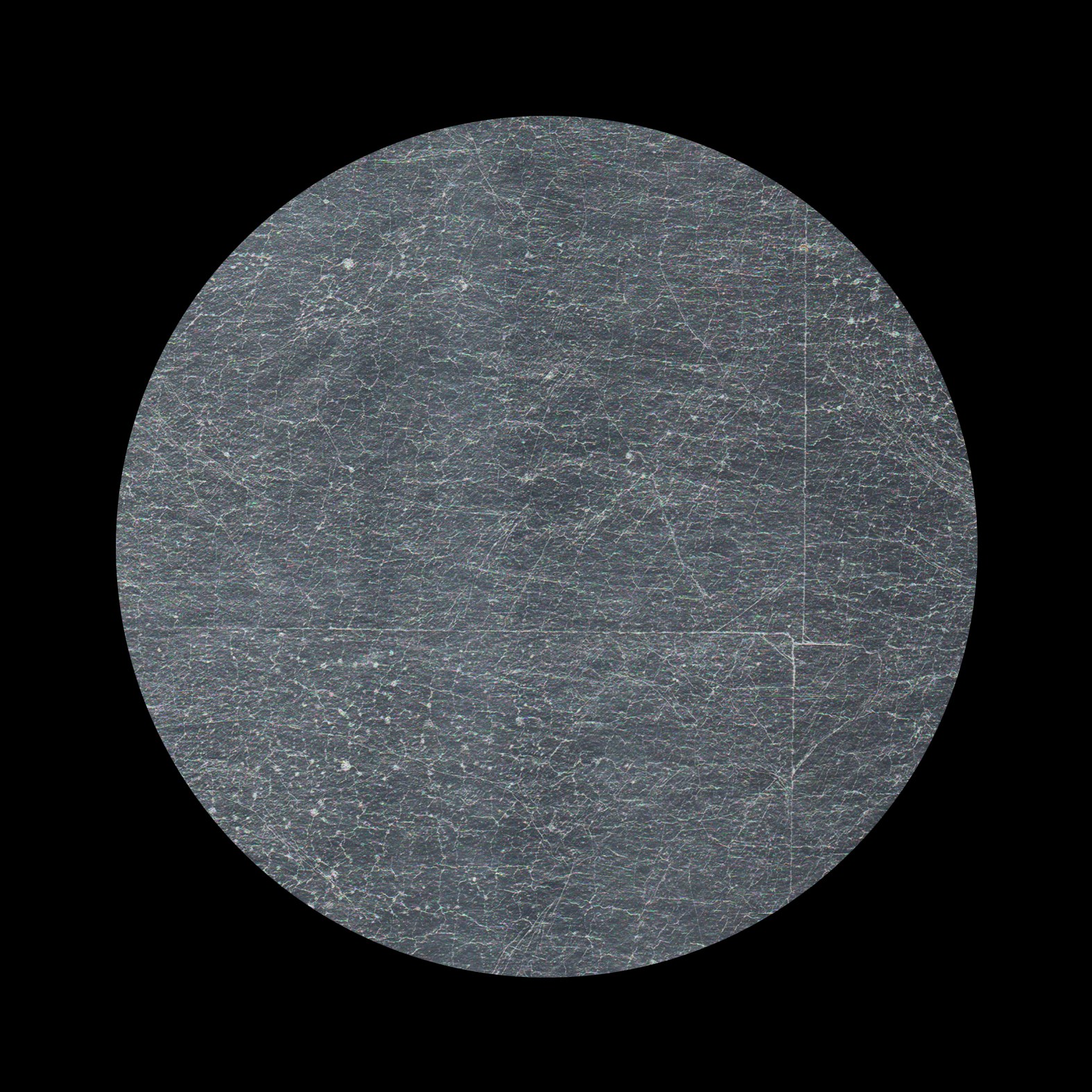 Papier peint feuille d'argent BW8