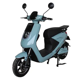 Elektrische Scooter 1000W/1500W Elektrische Motorfiets Volwassenen Twee-Wiel Scooter Ce Met Verwijderbare Batterij 501-1000W 51-65 Km/h 60-80Km