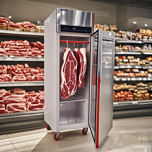 <span class=keywords><strong>Réfrigérateur</strong></span> à viande vieillie à sec de 480 L, <span class=keywords><strong>armoire</strong></span> de vieillissement à sec, <span class=keywords><strong>réfrigérateur</strong></span> à viande vieillie à sec, <span class=keywords><strong>encastrable</strong></span> ou autonome, pour usage domestique - Product Image 6