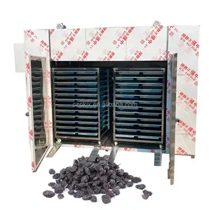 Commercial grape drying machine industrial raisin dryer oven dehydrator dried grapes drier price for sale