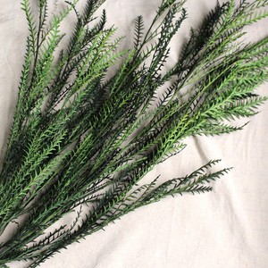 Flores Secas de Hoja de Diente de <span class=keywords><strong>Sable</strong></span> Eternas para Decoración del Hogar del Día de San Valentín y Ramos de Boda - Duraderas de 3 a 5 Años - Product Image 6