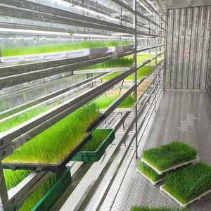 Sistema de Almacenamiento Inteligente para Cultivo de Cebada en Contenedores de Envío, Máquina para Germinar Semillas de Hongos - Product Image 2