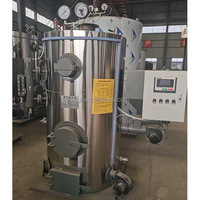 Generador de Vapor de Biomasa de Cáscara de Arroz de 300 kg/h, Totalmente Automático, Fácil de Operar, Precio de Fábrica, para Planchado de Ropa
