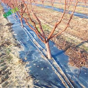 Vente flash : Tapis anti-mauvaises herbes en PP vierge à 100 % / bâche lourde, tissu de paillage pour racines, tapis anti-<span class=keywords><strong>herbe</strong></span> pour arbres - Product Image 5