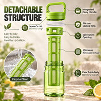 Bouteille d'eau infuseur de fruits en gros de 600 ml et 800 ml avec poignée de transport, joint en silicone et filtre amovible