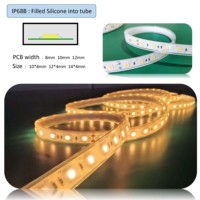 Bande lumineuse led de coextrusion de silicium étanche conforme à la norme ip65, rouleau de 12V, 24V, 5050 rvb, 50m et 100m, meilleure vente