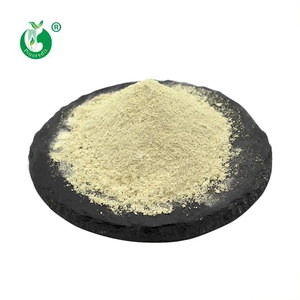 Hochwertiger Natürlicher Sophora-Japonica-Extrakt 98% Luteolin-Pulver zum Großhandelspreis - Product Image 3