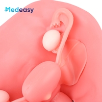 Modelo de Entrenamiento Pélvico Medeasy Factory para Simulador de Cirugía Ginecológica Laparoscópica con Entorno Pélvico de Hinchazón de Fibroides