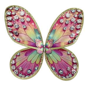 Per il Giorno dei Bambini è stata organizzata una performance sul palco con ali di farfalla con stampe colorate, costumi da festival e accessori. - Product Image 5