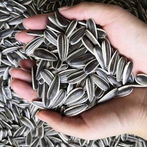 Semillas de Girasol Frescas Originales de Primera Calidad, Crudas y Secas, de <span class=keywords><strong>Mongolia</strong></span> Interior, 1 kg, Venta al por Mayor de Snacks - Product Image 2