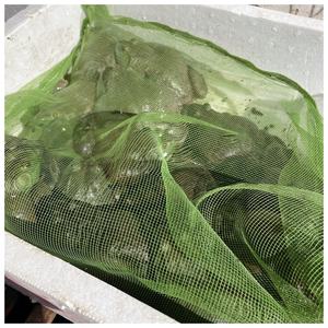 Sac en filet <span class=keywords><strong>Bullfrog</strong></span> pour le transport et l'emballage Protection durable pour une expédition et un stockage sécurisés - Product Image 3