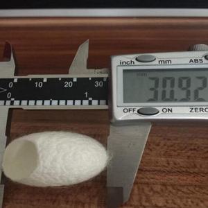 Makeart SW01, Marca Privada de Fábrica, Capullo de Seda Blanca Cortada, Seda Cruda de Gusano de Seda para Limpieza Facial Profunda - Product Image 5