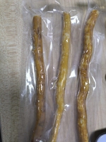 Miswak Siwak brosse à dents naturelle Misvak traditionnel Arak Miswaak manuel blanchisseur de dents doux voyage moyen-orient loi ancienne