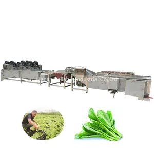سعر المصنع جيدة الخضار القطاعة التقطيع والغسل آلة الخضروات الطازجة فراغ خط إنتاج الأغلفة
