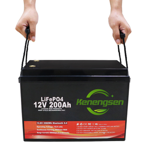 Op maat gemaakte LiFePo4 batterij 12V 24V 48V 100Ah 200Ah 300Ah 400Ah Lithium-ion zonnebatterij opslagsystemen - Product Image 5