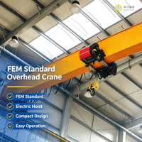 Pont roulant monopoutre standard FEM personnalisé avec télécommande double pendent pour travaux de levage en entrepôt et fabrication métallique