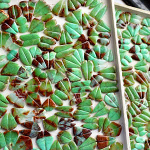 Piedras de Crisoprasa Pulimentadas, Cristales Naturales Curativos, Grava Decorativa de 15-25mm, Verde Marrón, Decoración Náutica para el Hogar - Product Image 4