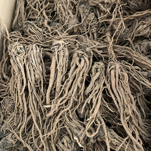 当归全根干品出售 - Product Image 5