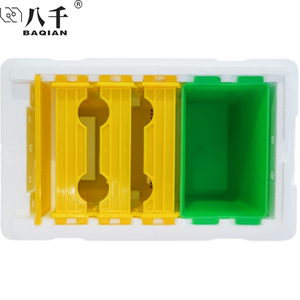 Mini <span class=keywords><strong>ruche</strong></span> en plastique pour apiculteur, équipement apiculture en polystyrène, boîte EPS Queen Nuc, accouplement d'abeille, <span class=keywords><strong>ruche</strong></span> en plastique, Offre Spéciale - Product Image 5