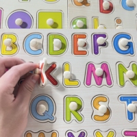 Multiplex/Hout Alfanumerieke handgreeppuzzel Dieren Fruit Cognitieve puzzelbord Montessori Educatief speelgoed voor peuters (0-4 jaar)