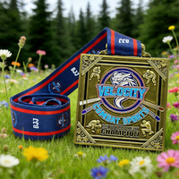 Qld Médailles et Trophées Personnalisés en Métal Doré Moulé sous Pression pour le Jiu-Jitsu Brésilien (BJJ), le Jiu-Jitsu et le Judo, Artisanat Sportif