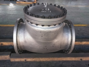 Válvula de Retención de Giro DOMOS API6D, 20 Pulgadas, 150lb, Cuerpo de Acero al Carbono, Trim No.1 en Stock, Sin Pintar, Válvulas de Control - Product Image 2