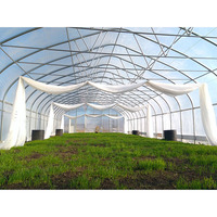 Serre agricole tunnel monopente en PE de haute qualité, petite taille, facilement assemblable, avec couverture en film pour la culture de tomates/concombres