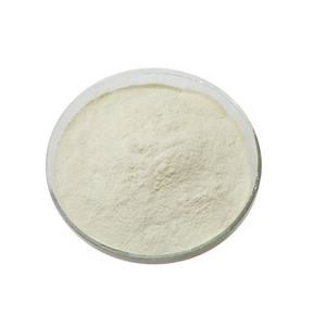Psyllium Husk กับการส่งออกราคาที่เป็นมิตรและ Psyllium เปลือกผง - Product Image 2