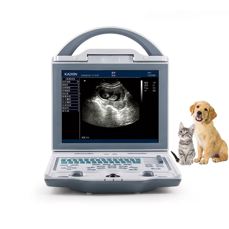 पशुचिकित्सक पोर्टेबल पशु पशु चिकित्सा अल्ट्रासाउंड के लिए VU5600V सस्ता लैपटॉप बी कुत्ते और बिल्लियाँ यूएसजी