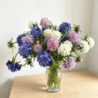 Vente en gros usine – Tige de Scabiosa artificielle effet naturel 72 cm, fleurs artificielles blanches, roses, violettes pour vase de maison, décoration florale de mariage