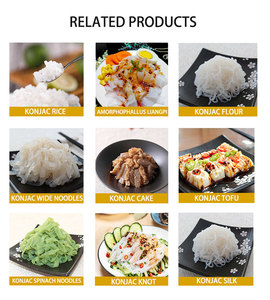Venta al por mayor cero calorías Konjac espagueti Shirataki fideos mojados avena Konjac Pasta fideos a granel sin olor avena Konjac comida - Product Image 3