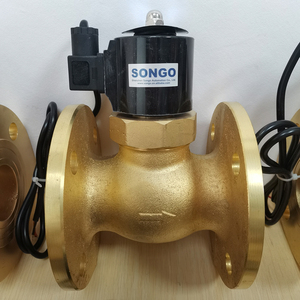 SONGO Solenoide de Brida de Latón de 16 bar IP68 de Alta Presión, de 2 Vías, 24 VCC, Normalmente Cerrado para - Product Image 1