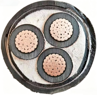 Câble d'alimentation blindé en cuivre NYY22 pour projets industriels au Moyen-Orient, résistant aux UV et au sable, haute température, conforme à la norme IEC60502