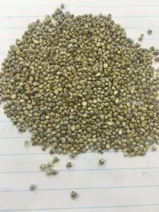 Millet vert de qualité supérieure Agistin, qualité premium, alimentation humaine, grain entier, naturel, sec - Product Image 6