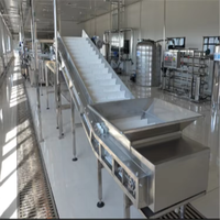 Automatische productielijn bananen schil- en snijmachine voor bananenchips