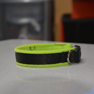 ปลอกคอสุนัขปรับขนาดได้-สีมะนาว & สีดำ - Product Image 1