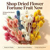 Bunga Kering Awet Dipsacus Sativus Eryngium Sea Holly 10 Buah Bunga Buah Thistle Besar Dekorasi Langit-langit Rumah Pernikahan