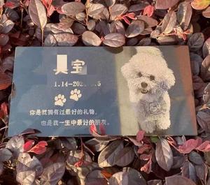 Monument commémoratif personnalisé moderne en granit naturel noir <span class=keywords><strong>pour</strong></span> chat et chien, sculpture en pierre polie sculptée à la main <span class=keywords><strong>pour</strong></span> <span class=keywords><strong>cimetière</strong></span>, style européen du XXe siècle - Product Image 1