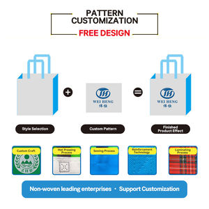 Borsa Termica Pieghevole di Lusso in Alluminio con Logo Personalizzato OEM per Pranzo e Asporto a Buon Prezzo - Product Image 3