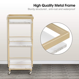 Baru <span class=keywords><strong>Trolley</strong></span> untuk Mesin Emas Ponsel Kecantikan Troli Berkualitas Tinggi Beauty Case <span class=keywords><strong>Trolley</strong></span> Siap untuk Kapal - Product Image 3