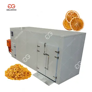 Commerciële Grote Capaciteit Warmtepomp Voedsel Droger Fruit Leder Oranje Druif Droogmachine Dehydrator Voor Rozijnen En Mango