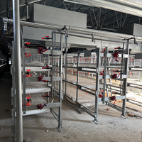Équipement automatique de poulailler de conception moderne pour poulets de chair et poulets de ponte poulailler et système d'élevage en cage par batterie à vendre