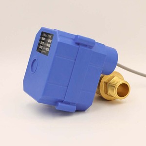 Válvula de Bola Eléctrica Miniatura de Alto Torque DN15, Actuador Compacto, Rosca Macho Doble, Válvula de Dos Vías de 4 Puntos para Gas, Manual - Product Image 2