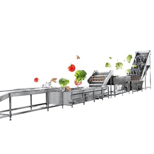 Best sale vegetable processing plant fruit and vegetable washing and cleaning machine