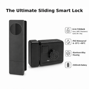 Serrure intelligente TTLock Bluetooth à reconnaissance faciale et veineuse, étanche pour extérieur, sans clé, pour portail en fer et porte de sécurité en alliage d'aluminium - Product Image 1