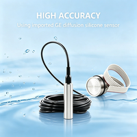 Sensor de Nivel de Líquido Hidrostático de Acero Inoxidable 316L para Tanque de Almacenamiento Industrial, 4-20mA RS485 Modbus, Precisión de 0.5% FS