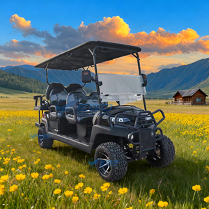 Carrito de Golf de Lujo, Color Negro Puro, Eléctrico, Asiento Cómodo, Cuatro Ruedas, Fabricantes de Carritos de Golf, Precio al por Mayor Personalizado, Gran Venta - Product Image 1