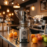 Extracteur de Jus Électrique à Pression à Froid de Qualité Supérieure pour Pommes, Carottes et Oranges – Meilleure Machine à Jus Lent pour Fruits