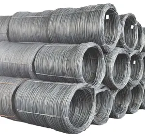 Bwg High Carbon Spring Steel Twisted Soft Annealed Black Iron Wire 16 22 Sizes Binding Construction Wire ASTM Welding Cutting