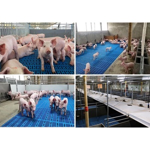 Lồng nuôi heo con chất lượng cao, kích thước tùy chỉnh theo yêu cầu, chuồng nuôi bền chắc cho heo con - Product Image 6